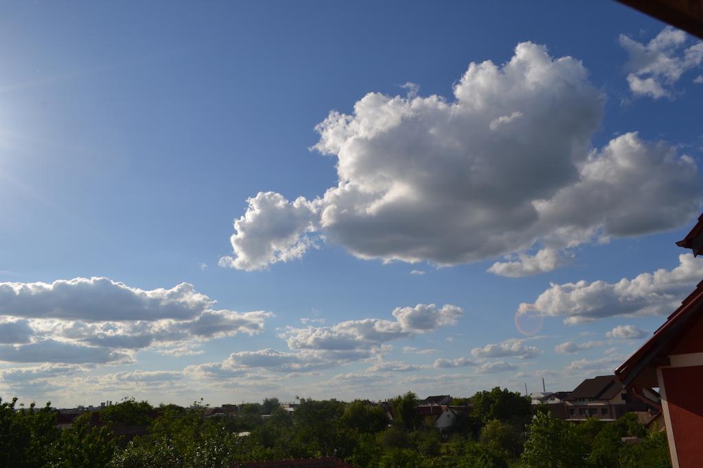 Pensiunea Christiana Otel Arad Dış mekan fotoğraf